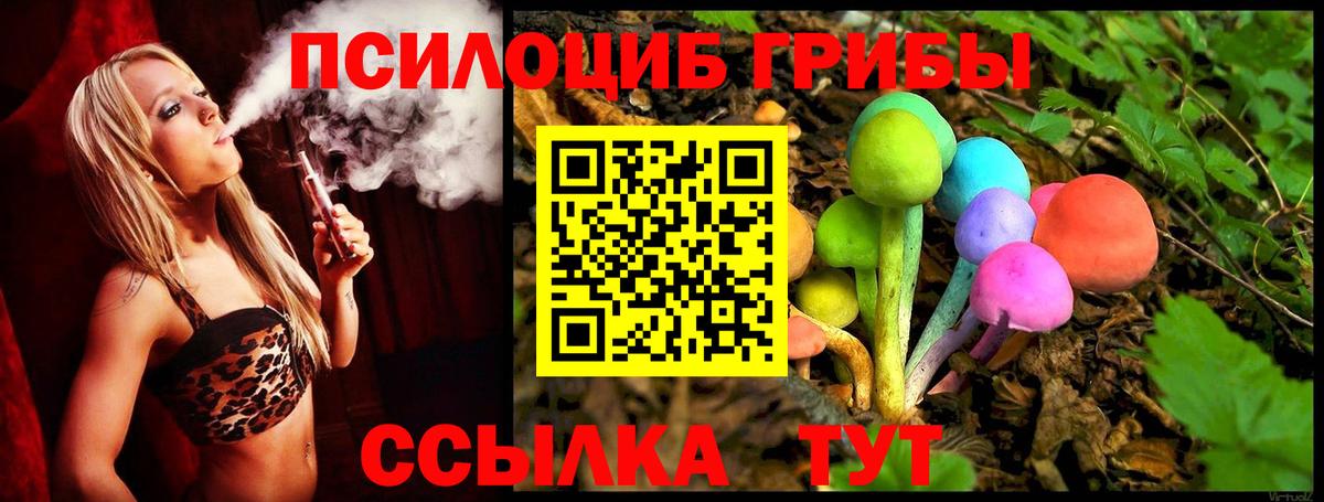 Галлюциногенные грибы MAGIC MUSHROOMS Нововоронеж